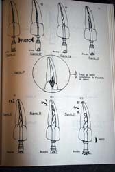 André Forfert : Planches anatomiques